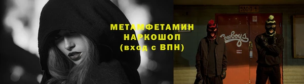 прущие грибы Алексин