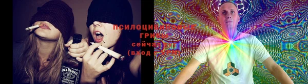 шишки Алексеевка