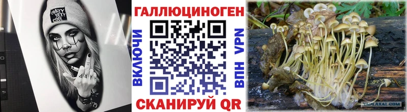 Псилоцибиновые грибы MAGIC MUSHROOMS кракен Лихославль